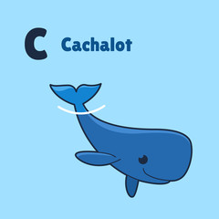 Cartoon cachalot, cute character for children. Good illustration in cartoon style for abc book, poster, postcard. Animal alphabet - letter C.