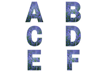 Lavender font Alphabet a, b, c, d, e, f made of violet lavender field.