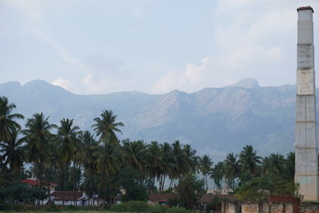 Fototapeta na wymiar landscape with palm trees and blue sky