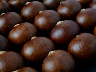 Chestnuts are grown as economic crops for selling seeds