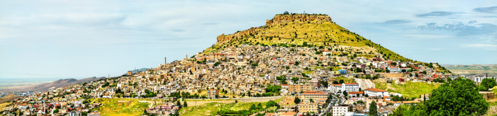Obraz premium The old city of Mardin in Turkey