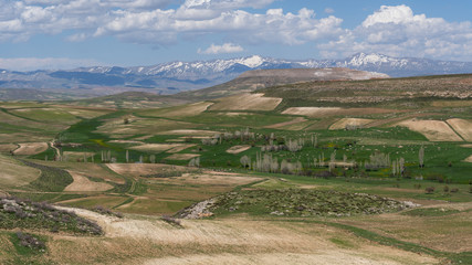 Naklejka premium Main Bolagh Iran Mountain