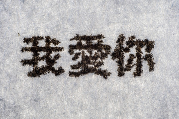 Extreme macro shot of the I LOVE YOU in Chinese typed on white paper. Grungy textured bloody mood.. Calligraphy.