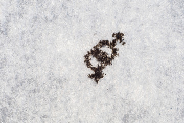Male and female symbols in textured macro print on white grungy paper.