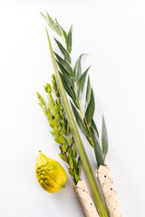 Top view on the lulav - set of four species for the Jewish Sukkot festival, isolated on white.