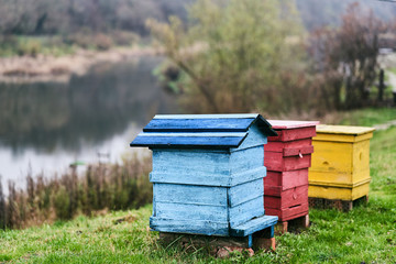 Multi-colored beehives on the river bank. Bee houses.
