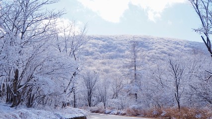 美しい雪景色