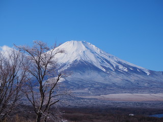 Fototapeta premium 山中湖交流プラザきららからの絶景富士山