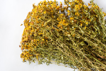 Pile of organic natural medical herb -St. John’s Wort is drying for traditional medical herbal tea use © Mati Kose