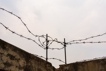 barbed wire on a background