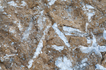 Close up view on the texture of the oil shale with the fossils revaled during the mining in...