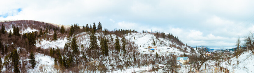Panoramic view of forest near Slavske village, Carpathian mountains, Ukraine. Horizontal outdoors shot