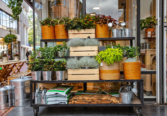 A small flower shop at downtown with a stand of blooming flowers in pots. Building background.