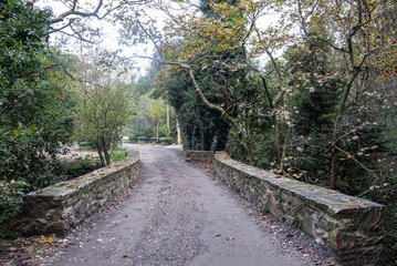 A path on a stone bridge with fallen leaves from the trees of a park. Nature background.