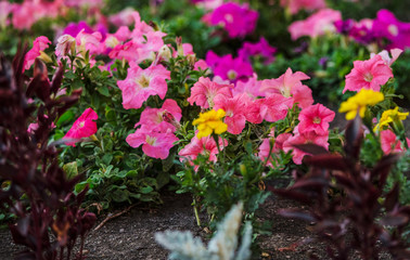  Men's and women's bracelets made of natural stone