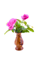 rose in vase on white background