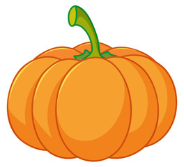 One pumpkin on white background