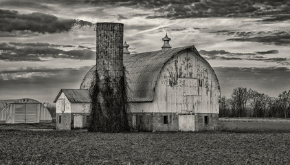 Black and white barn © Jennifer