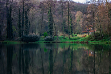 Fototapete bei efototapeten.de bestellen   