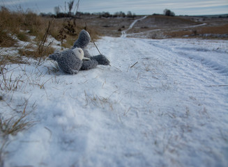 Forgotten, lost toy gray teddy bear outdoors in winter.