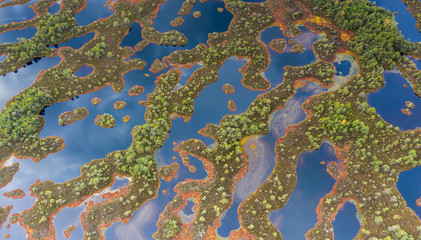 Aerial view over peat-bog landscape with the complex lake and  pool ridge patterns. Estonia is 2nd most boggy country in Europe. Peatland are important as pool of biodiversity and CO2 deposit.