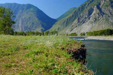Summertime landscape of Chulyshman river valley in Altai mountains, Siberia, Russia