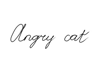 Angry cat handwritten text inscription. Modern hand drawing calligraphy. Word illustration black