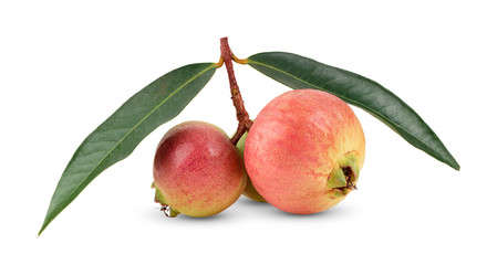 Syzygium jambos or rose apple isolated on white