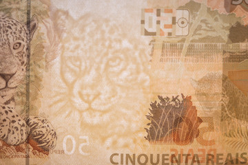 Fototapeta na wymiar Brazilian Currency Notes Detail - Real