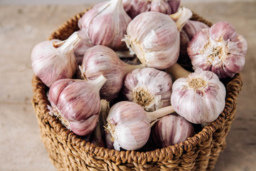Garlic in a wicker basket on a wooden table background. Copy, empty space for text