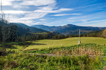 green landscape of the Basque mountains