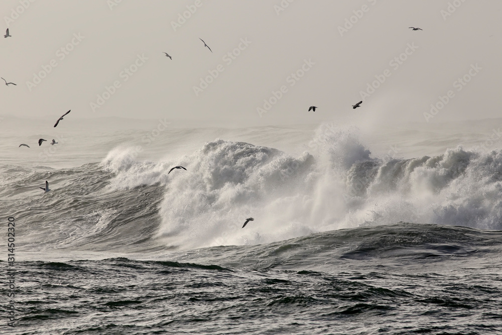 Wall mural Rough sea wave