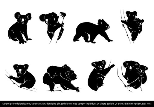 collection of koala bear silhouette. koala bear silhouette. vector illustration