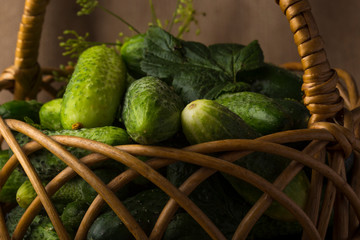 The process of preparing pickled cucumbers in the form of a still life with the main ingredients