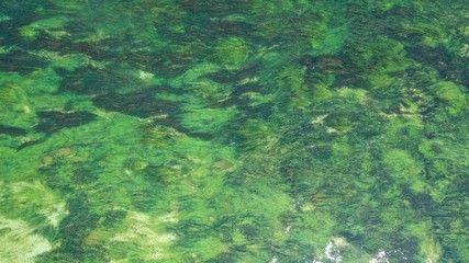 Aerial top down view of long waterplants under transparent clear turquoise water of river. Natural texture, background. Seaweed patterns. River flow. Trebinje, Bosnia.