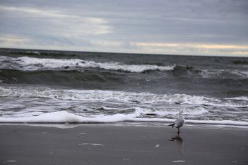 Nordseestrand, Sankt Peter Ording, Deutschland