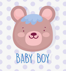 boy or girl, gender reveal its a boy cute bear face card