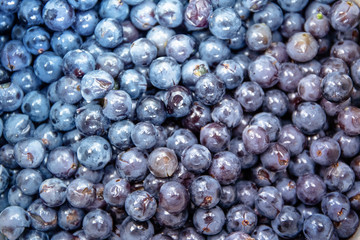 bunch of fresh purple-blue grapes, background, texture, flat lay