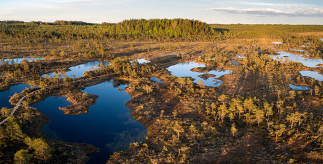 The sunset peat bog landscape with lakes and forest and wooden pathway going trgough this scene on the left