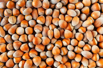 a large number of folded hazelnuts, background, texture, flat lay