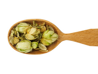 Dry Humulus in wooden spoon on white background