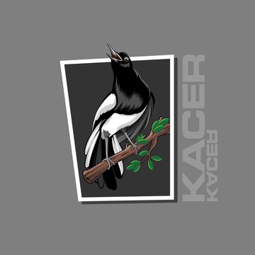 Bird logo vector and illustration