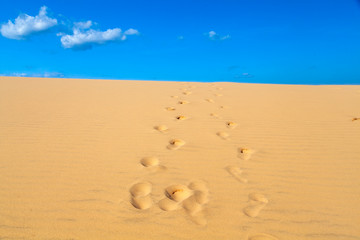beautiful sand texture of dunes in the Sahara desert, white dunes of Vietnam, near the city of Mui Ne