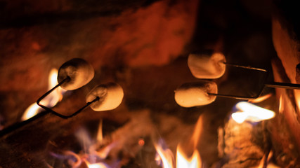 Marshmallows on a campfire
