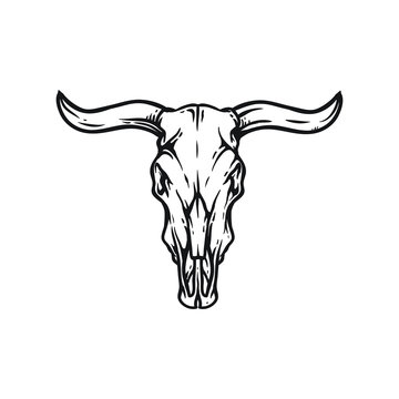 Buffalo or american bison skull. American Indians dead cow head vector illustration