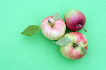 Juicy apples on green background