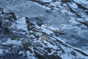 Rural road in winter, background