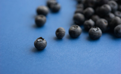 Blueberry berry on a classic blue background.