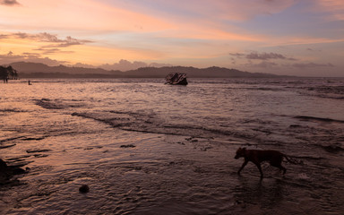 Obraz na płótnie Canvas Sunset on the black sand beach of Puerto Viejo, Costa Rica