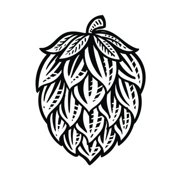 Beer hop brewing icon vector